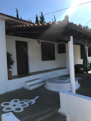 Olive Grove Retreat